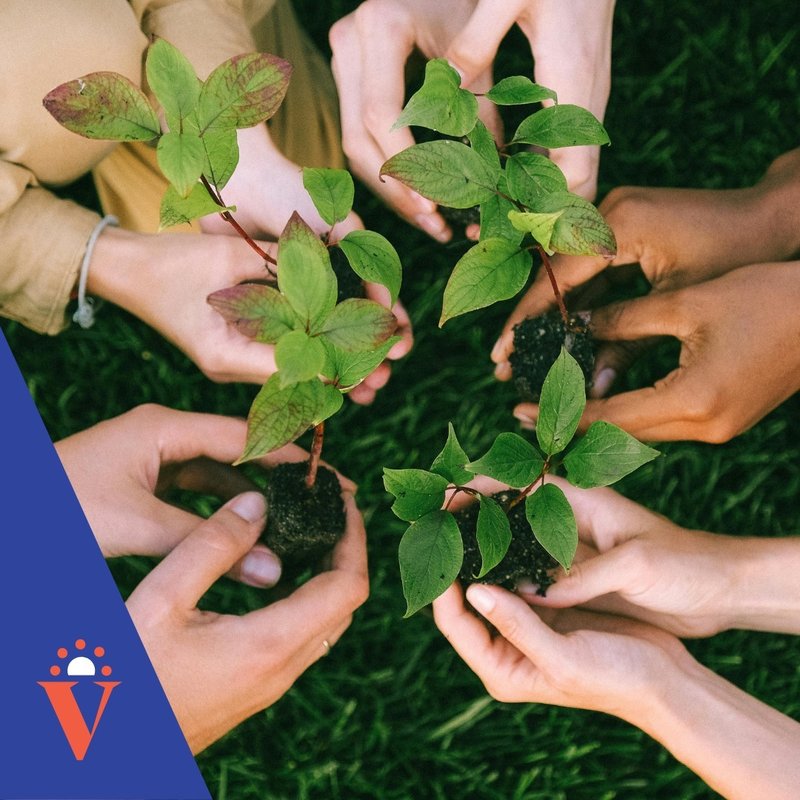 Regolamento Etico Piattaforma Valli Welfare